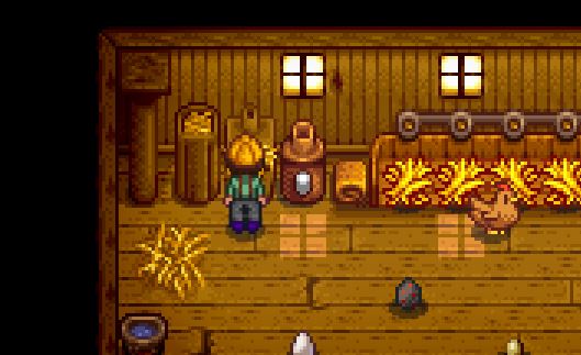 Feeding chickens hay in stardew valley