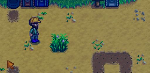 Growing grass to make hay in Stardew valley