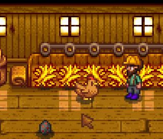 Putting food in trough to feed chickens in stardew valley