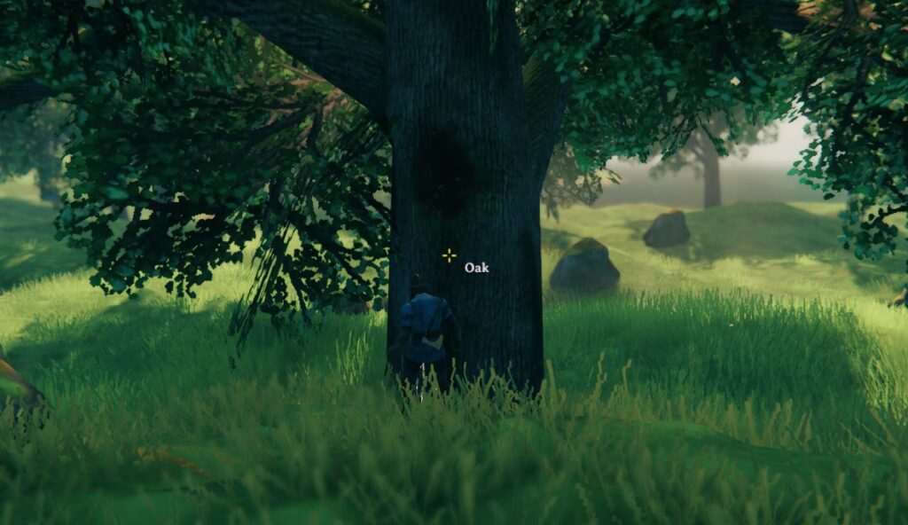 An Oak tree in Valheim, a source of fine wood for ship building