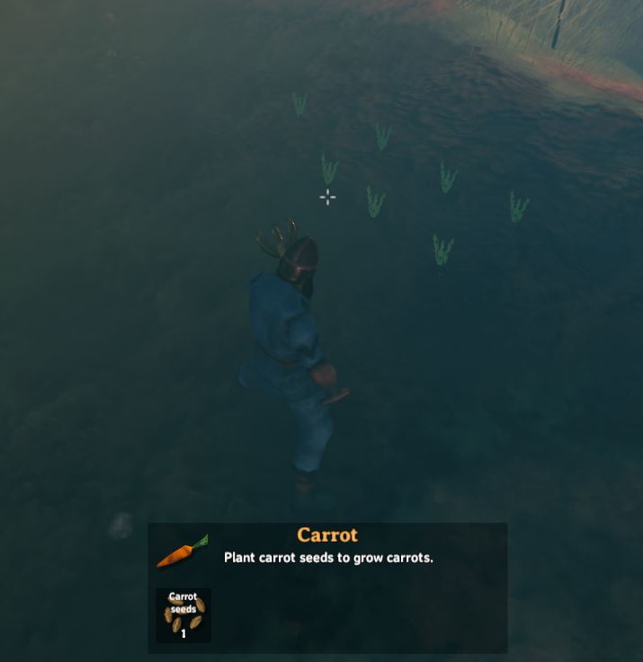 Farming and Planting Carrots in Valheim