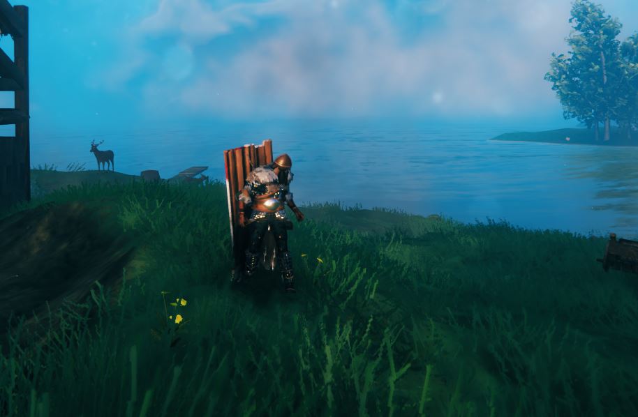 The wooden tower shield on the back in valheim