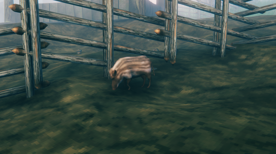 A baby boar from Valheim also known as a Piggy