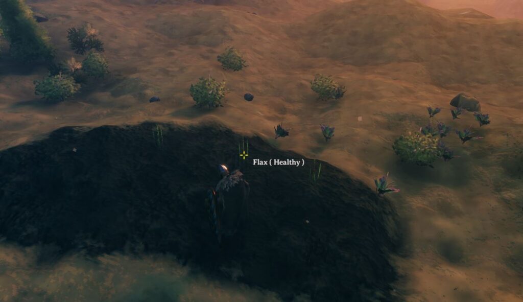 plant flax in the plains in order to double your flax in Valheim