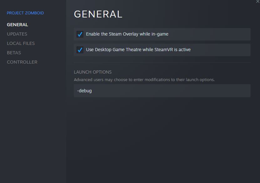 enabling the debug menu in Project Zomboid through the launch options in steam