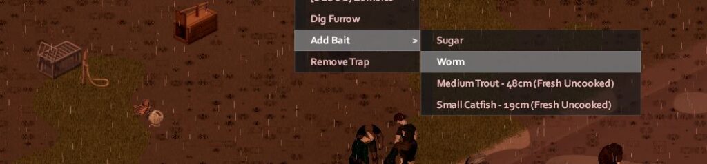 Adding a worm as bait in a trap in Project Zomboid