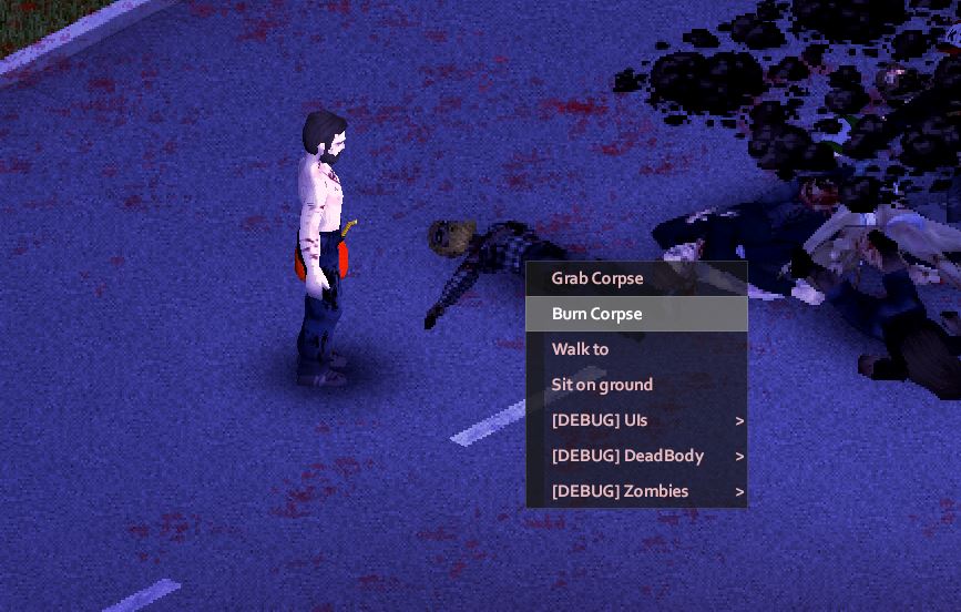 You can use the gas can in Project Zomboid to burn bodies