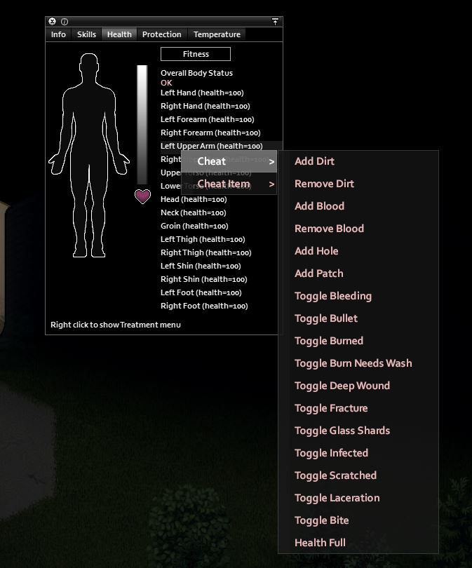 Healing with cheats in Project Zomboid