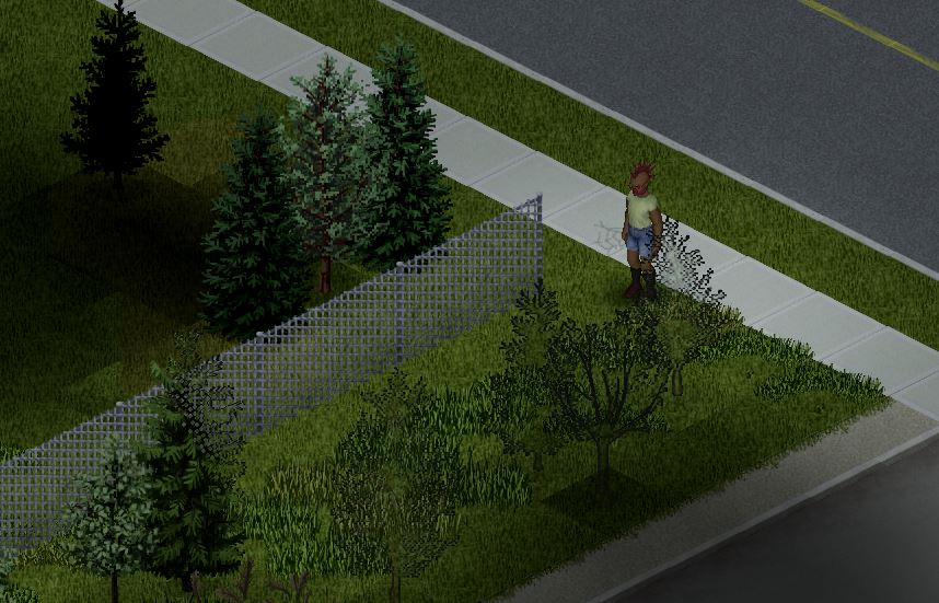 A player standing next to a smaller wire fence in Project Zomboid
