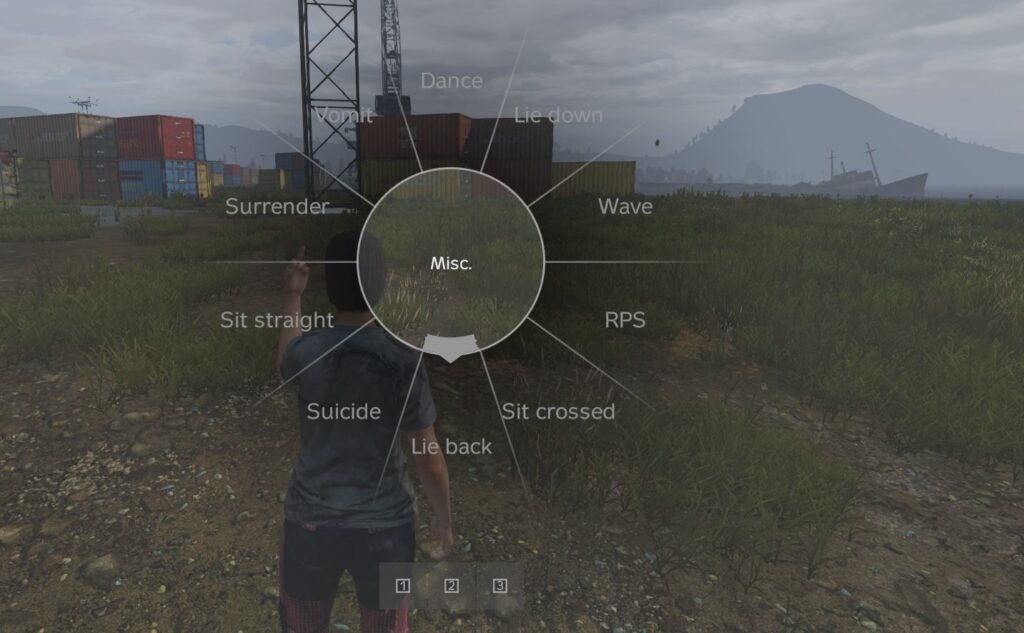 Using emotes in DayZ such as lie down, sleep and gestures