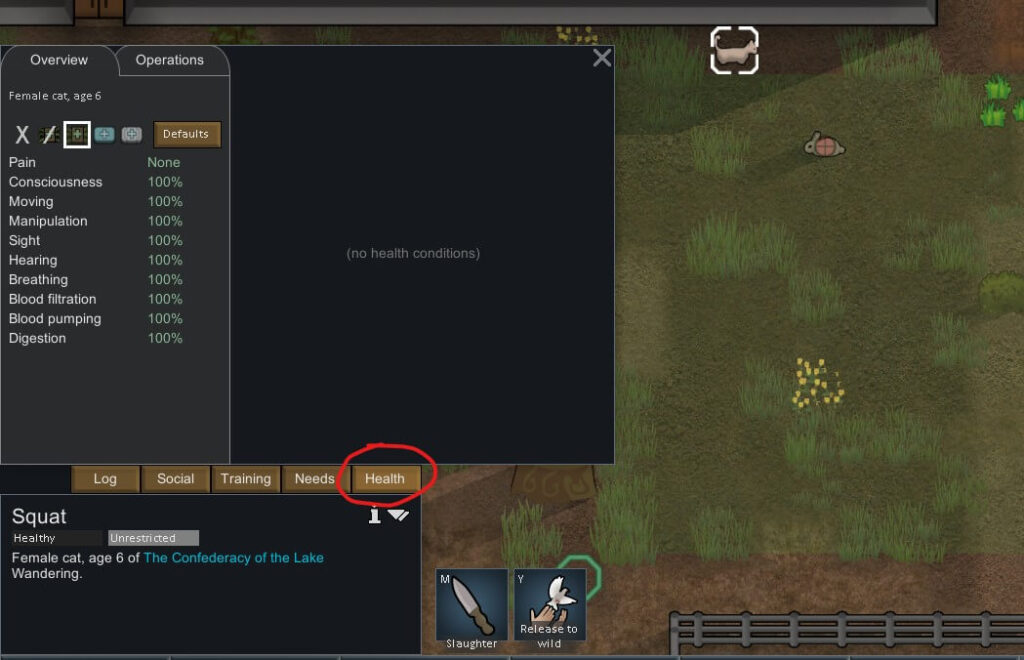 Checking on what to heal on the cats health tab in Rimworld