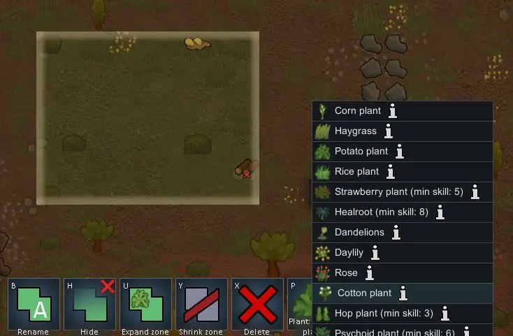 Growing Cloth in Rimworld with the Cotton Plant